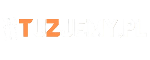 TuZjemy logo